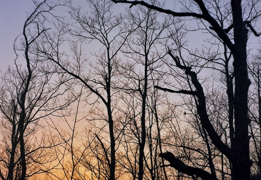 Sheltowee Trace sunset